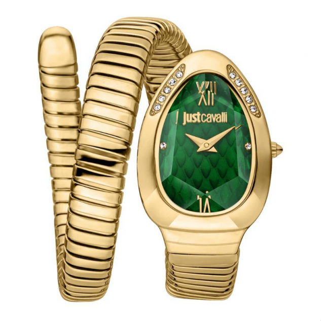 JUST CAVALLI JC1L223M0035 Kadın Kol Saati