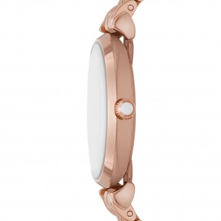 Emporio Armani AR11446 Kadın Kol Saati