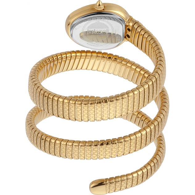 Just Cavalli JC1L163M0025 Kadın Kol Saati